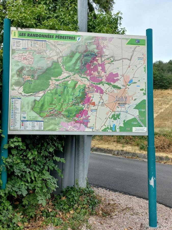 Вилла Gite Au Nid De Cigognes Дифенталь Экстерьер фото