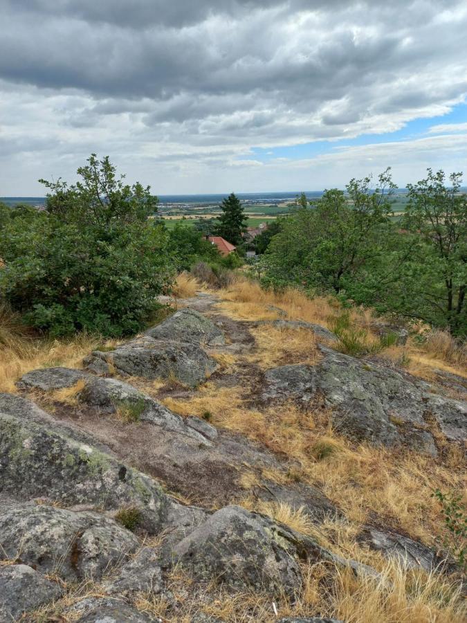 Вилла Gite Au Nid De Cigognes Дифенталь Экстерьер фото